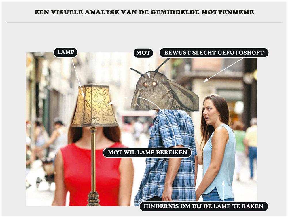 Hoe het internet aangetrokken werd tot memes over motten en lampen