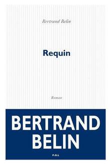 Bertrand Belin, chanteur à textes
