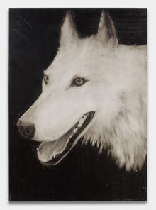 Légende : RR=2wolf 4/9/18. Photo Hugard & Vanoverschelde Photography. 