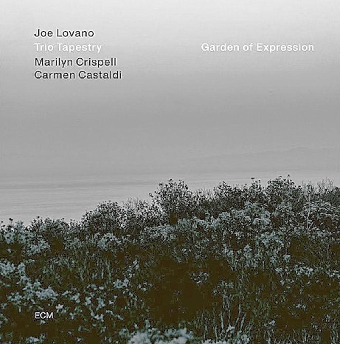 Joe Lovano Trio Tapestry (Marilyn Crispell / Carmen Castaldi) 