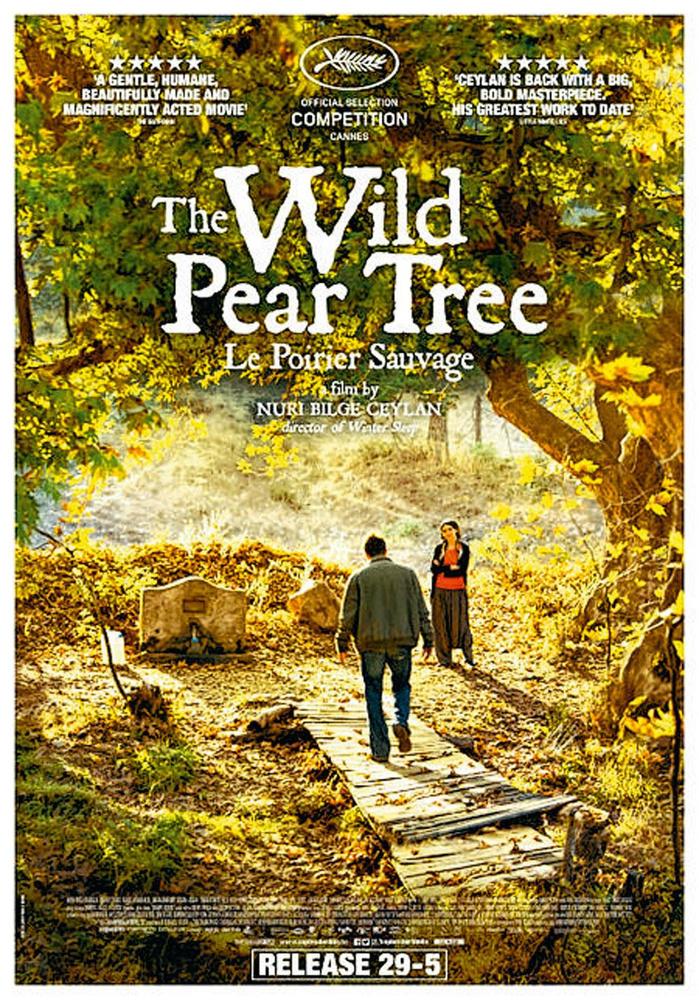 [Critique ciné] The Wild Pear Tree: d'une richesse morale et visuelle intense