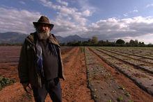 Galères et joies - L'agriculteur grec Dimitros Tsiganos alias 