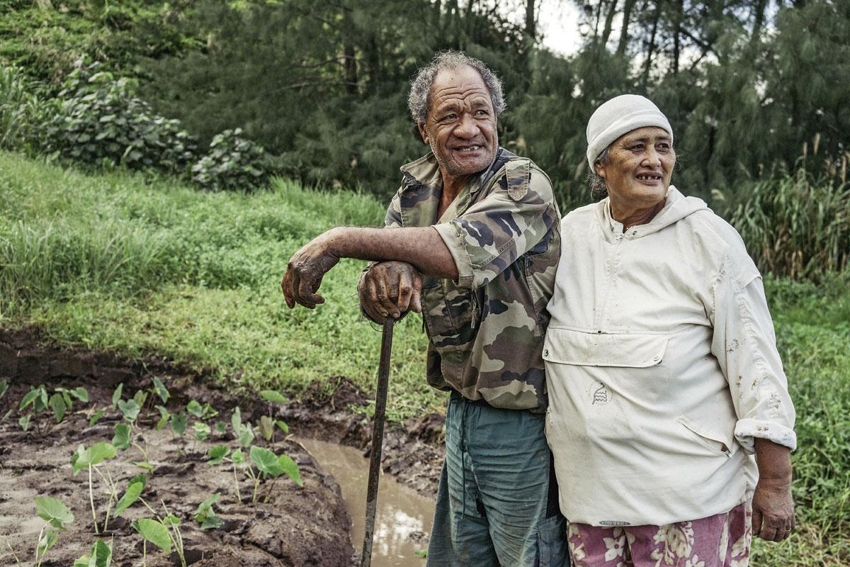 Martin et Hélène ont toujours vécu à Rapa Iti. Chaque jour, ils se rendent ensemble aux champs de taro, un tubercule à la base de la plupart  des plats locaux.