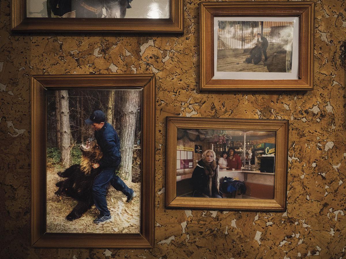 Dans le bar de l'hôtel Baïka, à Kossiv, sont exposées des photos où le propriétaire de Yura démontre sa force sur l'animal encore adolescent. Aujourd'hui adulte, l'ours est enfermé à l'extérieur, dans un état de santé déplorable.