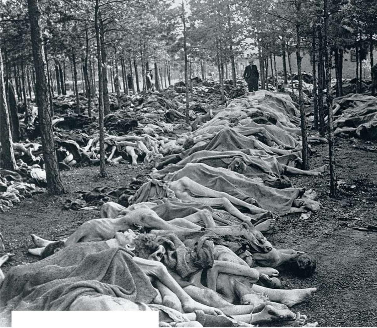 Un empilement de corps au camp de concentration nazi de Bergen-Belsen. Après l'arrivée des troupes britanniques de la 2e armée, ceux-ci forcèrent les SS à creuser des tombes et à enterrer leurs malheureuses victimes. Malgré les efforts des unités médicales britanniques, des centaines de civils malades et torturés ont péri.