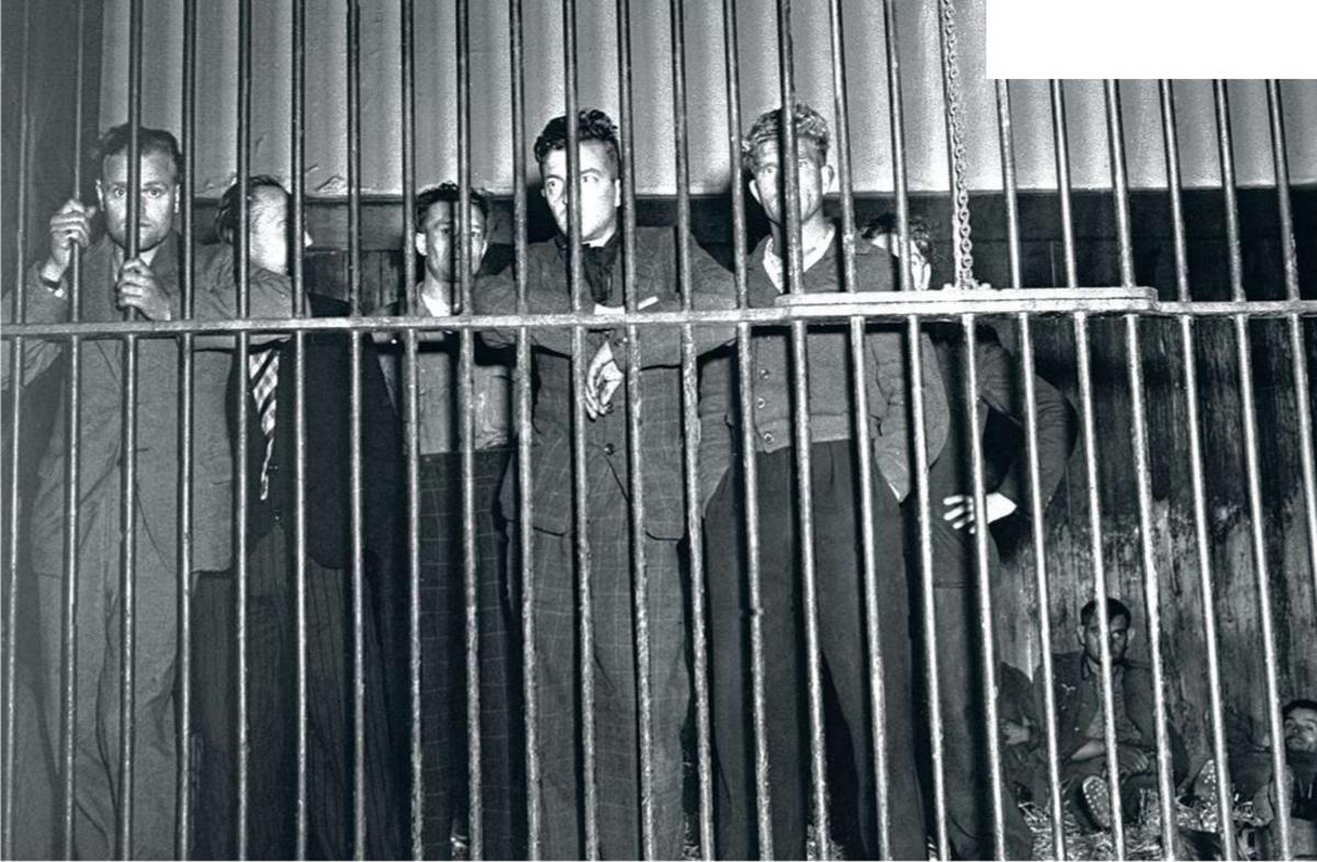 Des centaines de Belges qui ont collaboré avec la Gestapo ont été détenus dans des cages du zoo d'Anvers après la libération de la ville, dans l'attente de leur jugement pour trahison.