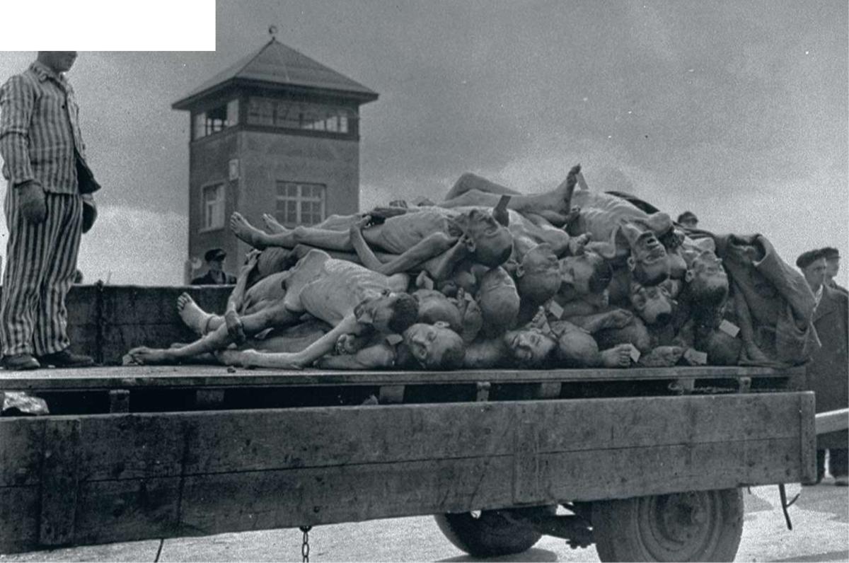 Camion transportant des corps empilés d'hommes morts, extraits du camp de concentration de Dachau où ils ont été détenus par les nazis qui visaient à exterminer la population juive.