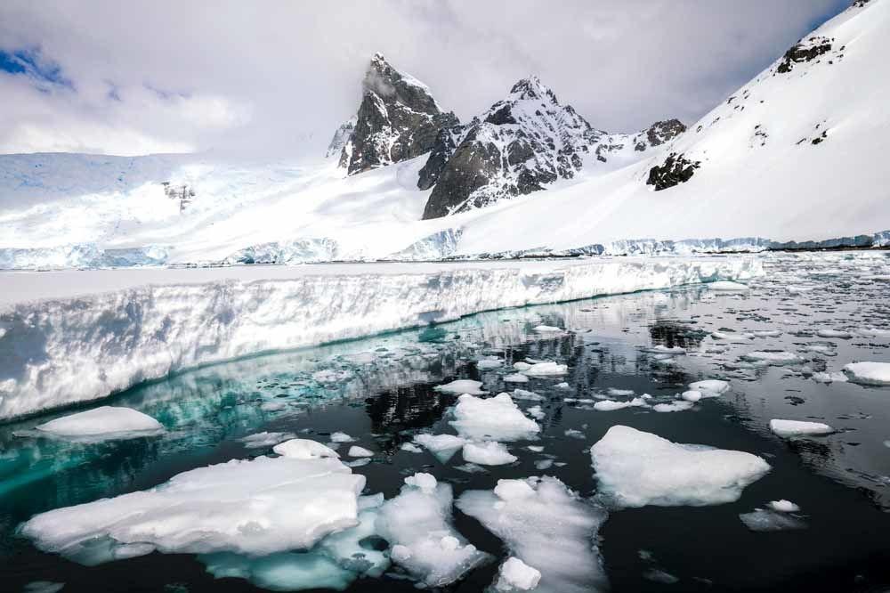 Des arbres en Antarctique: quand le CO2 était aussi élevé qu'aujourd'hui