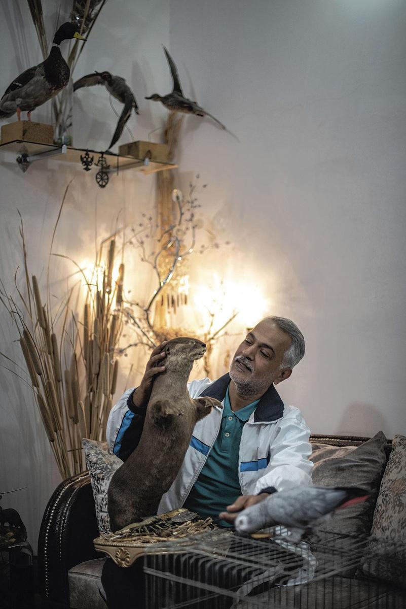 Ahmed Saleh, activiste environnemental, milite pour préserver la biodiversité de la région, classée patrimoine mondial de l'Unesco. Il achète régulièrement des animaux de diverses espèces au marché noir, afin de les relâcher dans leur milieu naturel.