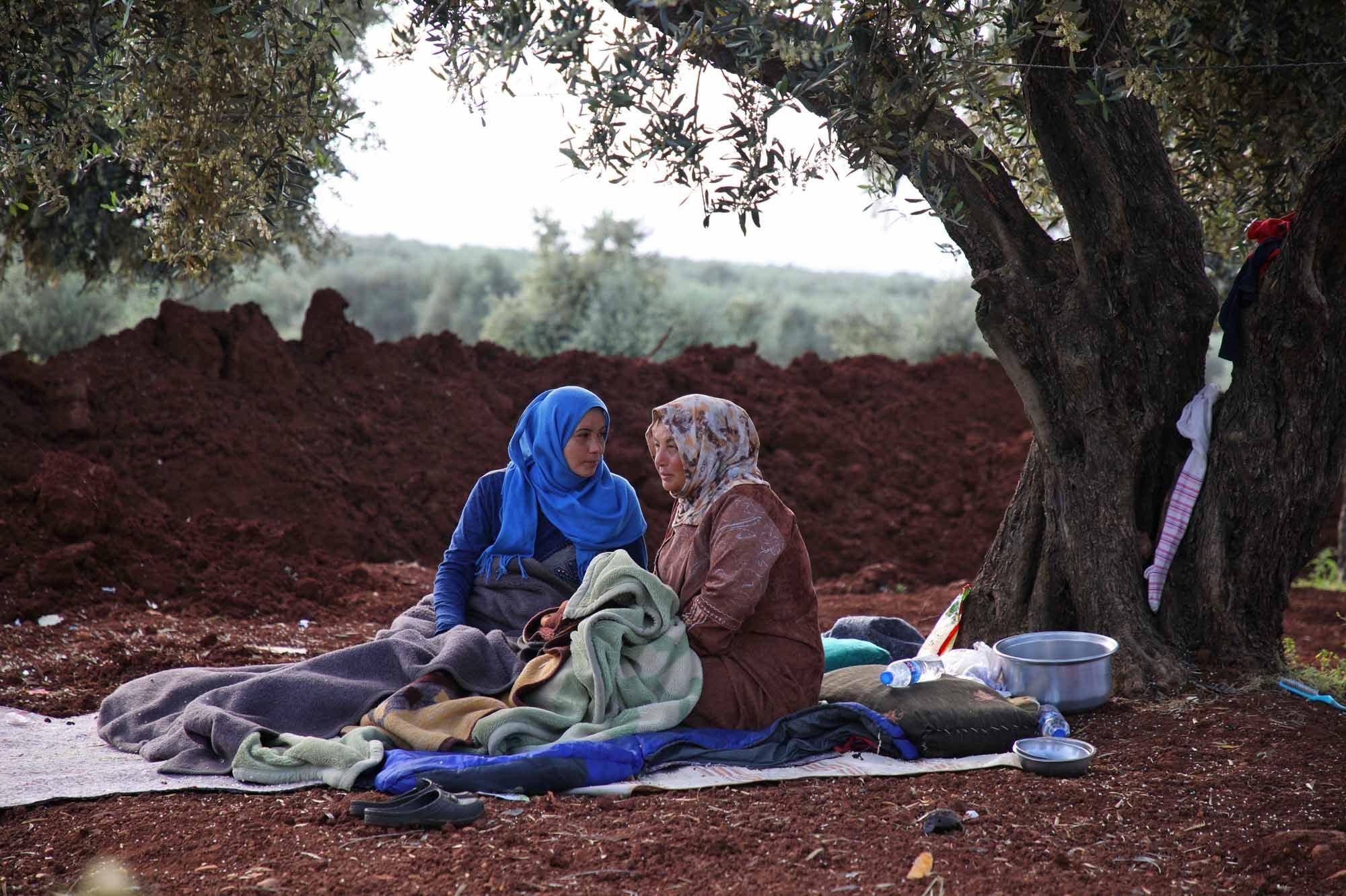 En Syrie, les oliveraies comme refuge pour les déplacés d'Idleb (en images)