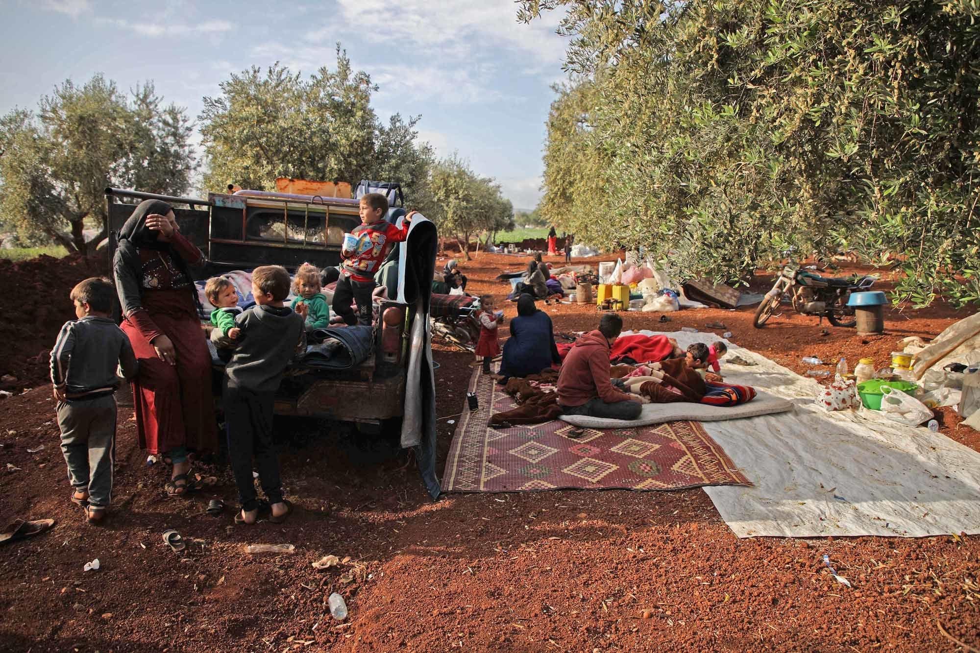 En Syrie, les oliveraies comme refuge pour les déplacés d'Idleb (en images)