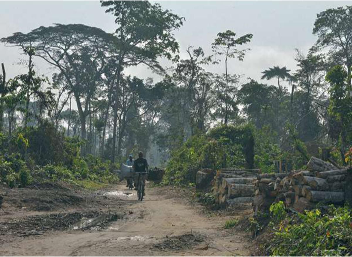 Dégradation Le cercle vicieux de la pauvreté rend les communautés rurales responsables de la déforestation.