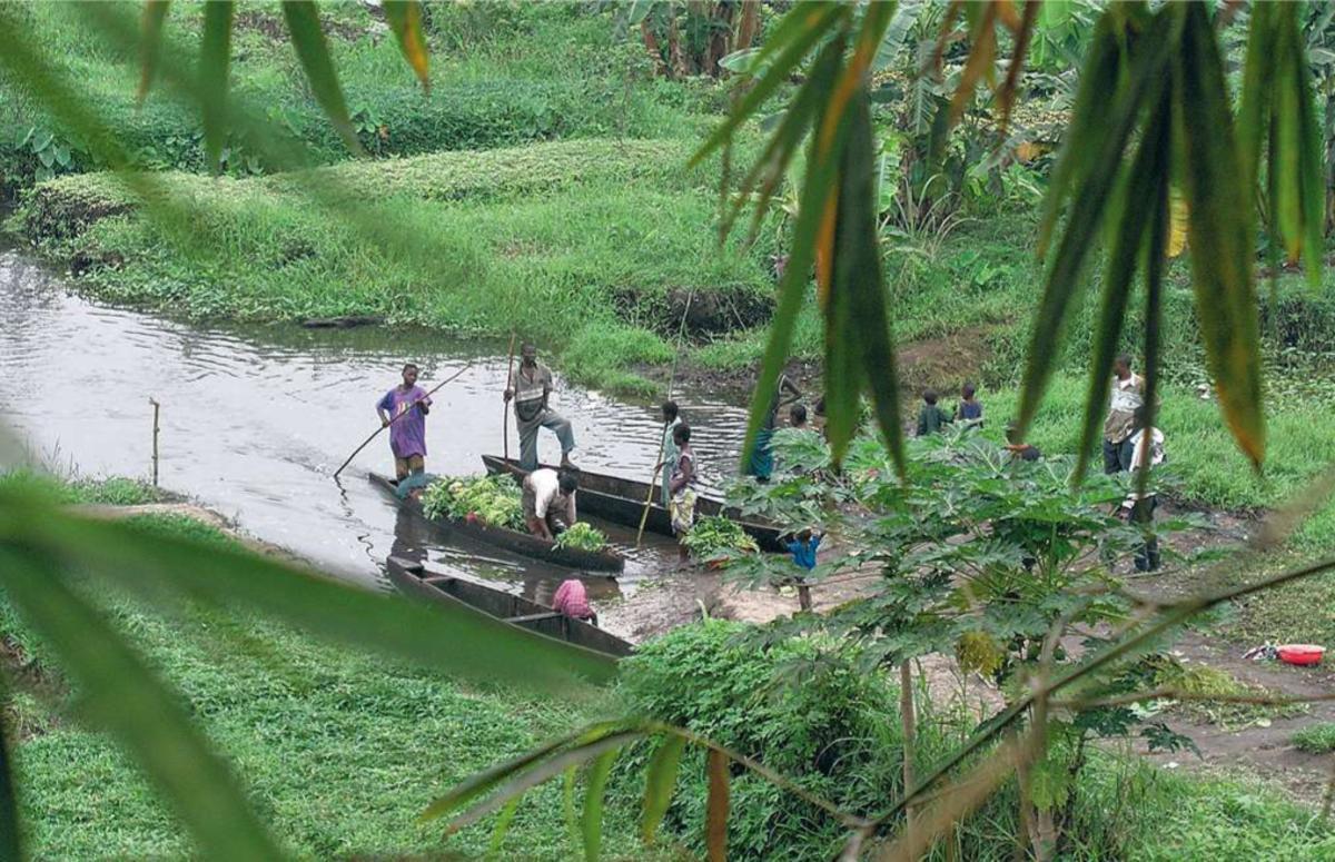 Symbiose avec l'environnement Il faut prioritairement aider les hommes à vivre mieux là où ils sont. Il faut redorer le blason de la ruralité africaine, lutter massivement contre cet exode destructeur.