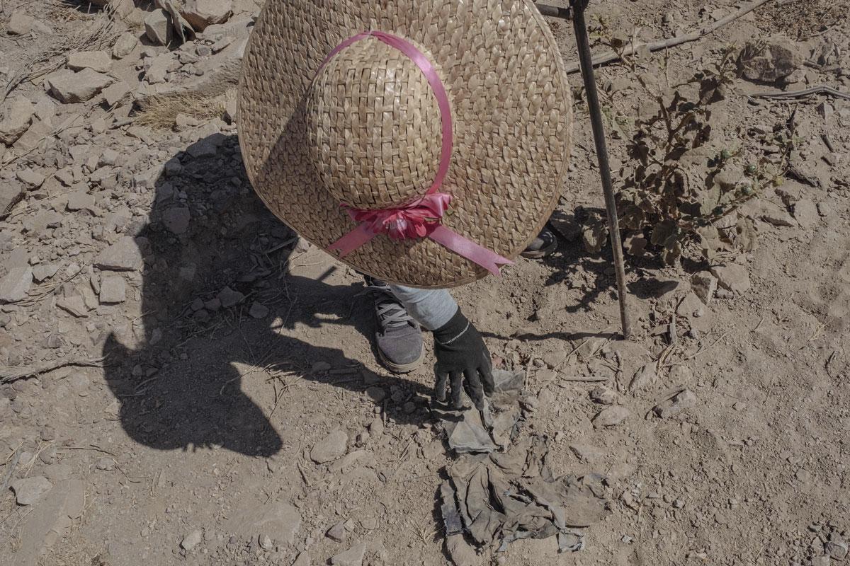 Une rastreadora examine un bout de tissu retrouvé dans la terre. Les taches et les odeurs sont des indices. Dans la zone de Palmillas, Tesoros Perdidos a retrouvé 17 fosses clandestines.