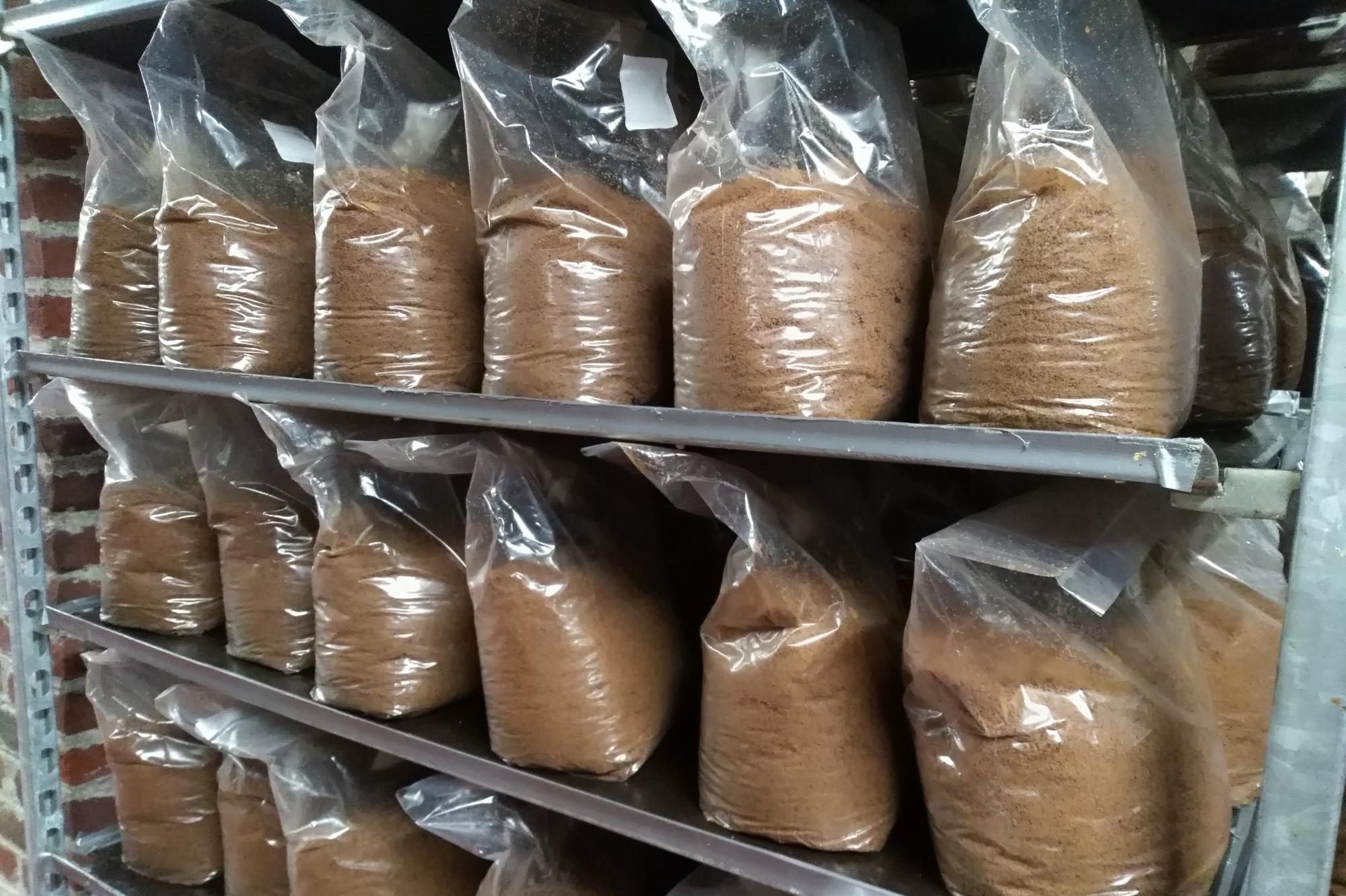 Le mycélium des shiitakés va se propager à travers le mélange de céréales pendant deux à trois mois.