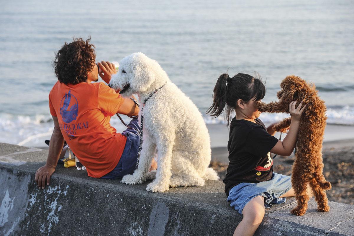 Depuis plusieurs décennies, l'amour des chiens s'est introduit au plus profond de la cellule familiale japonaise. Considérant que les poilus à quatre pattes méritent autant d'attention que les enfants.