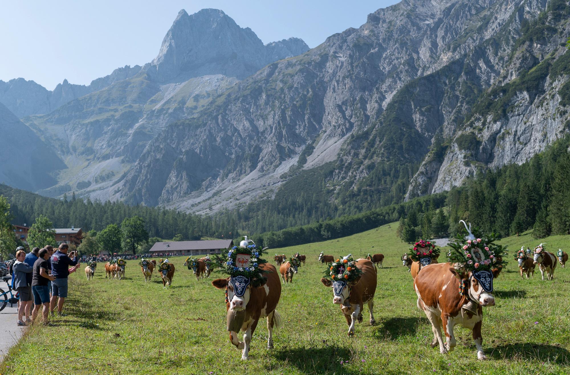 Climat: les alpages typiques du Tyrol menacés de disparition (en images)