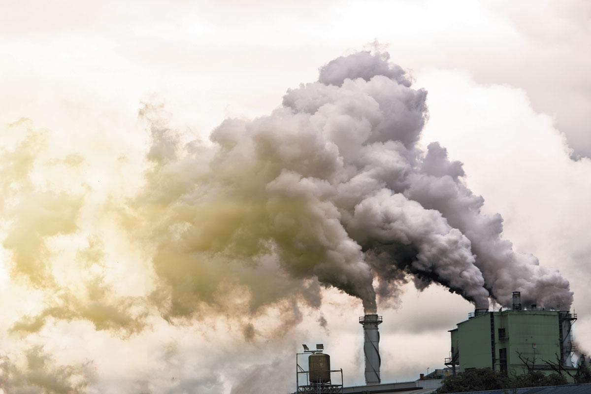 Colère des gilets jaunes, émissions polluantes et maladies transmises de l'animal à l'homme: les questions environnementales et climatiques sont liées à celles des inégalités.