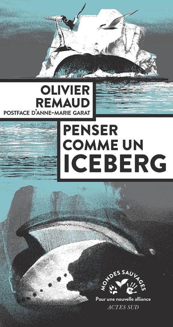 Penser comme un iceberg, par Olivier Remaud, Actes Sud, 240 p.