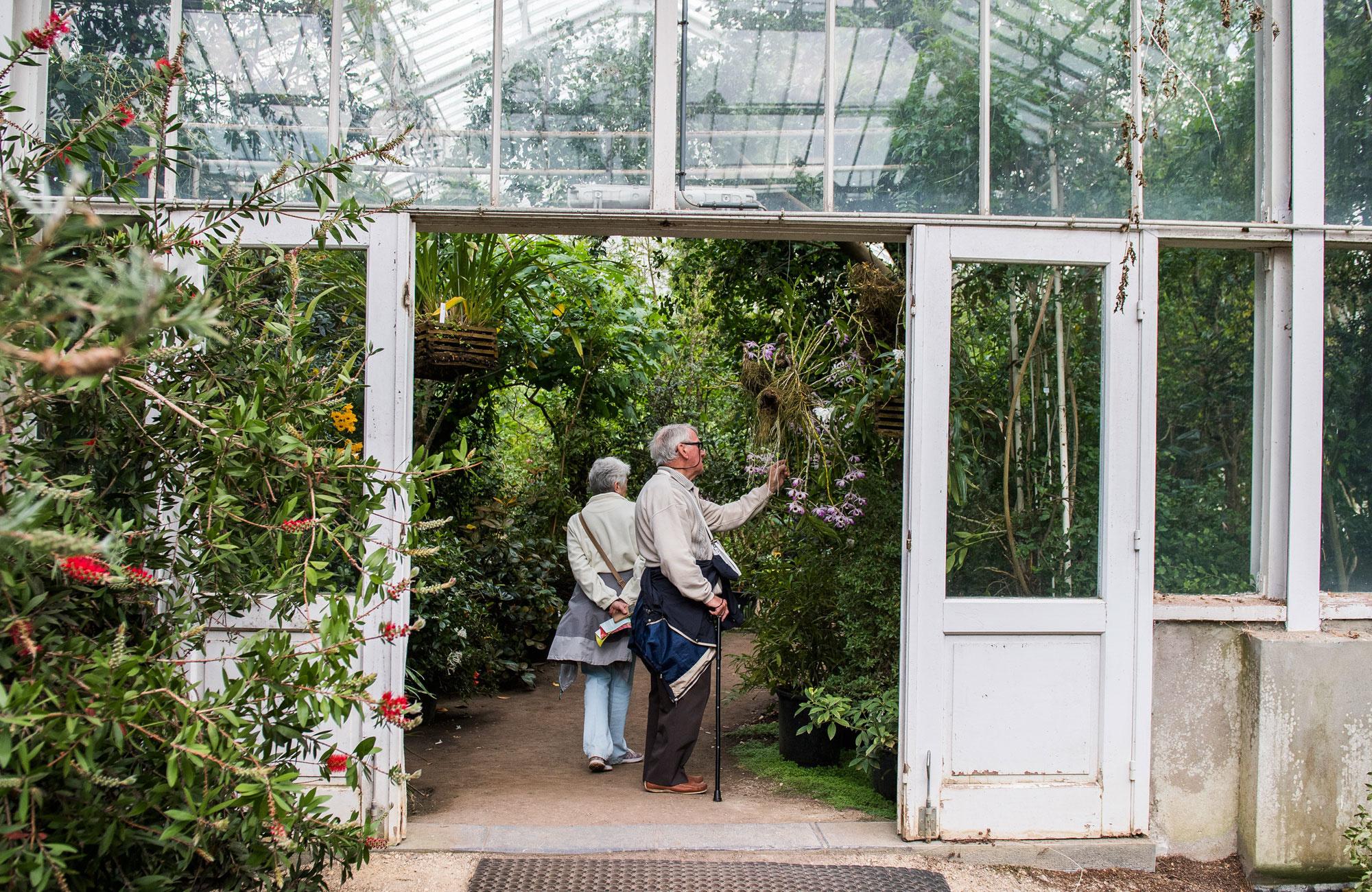Meise: le Jardin botanique s'expose pour son 225e anniversaire