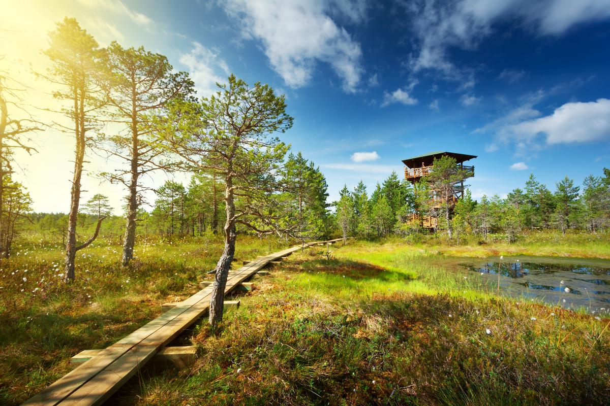 19. Estland: 4,9 op 10 © Getty Images