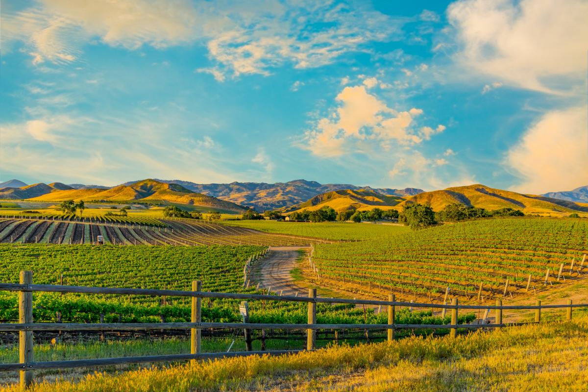 72. Santa Barbara Wine Country in Californië 