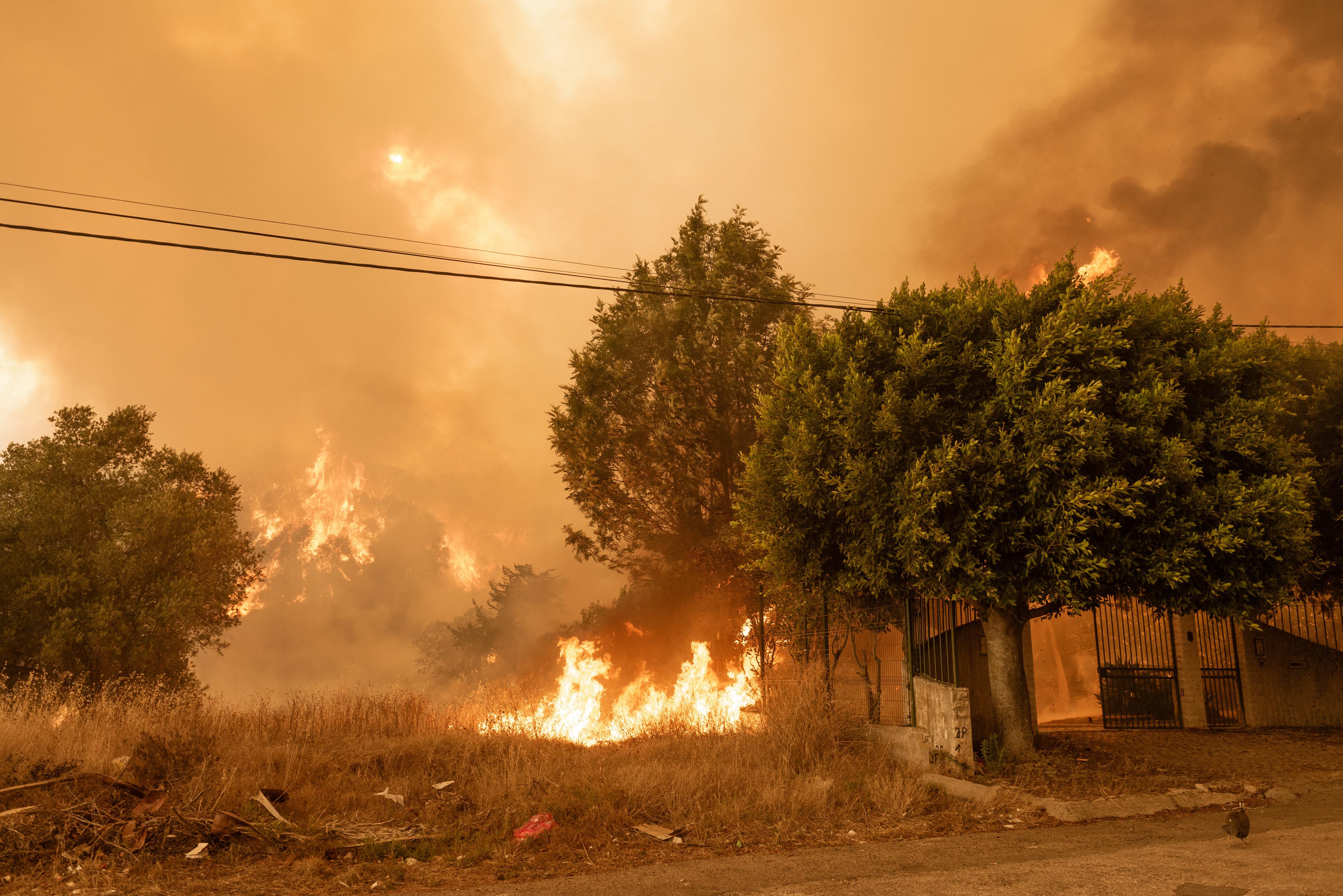 portugal feux de forêt