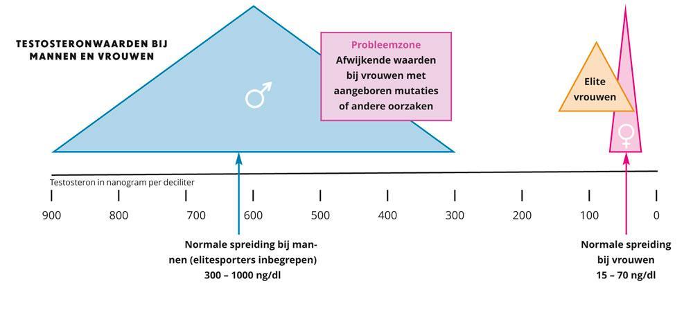 Figuur 1: testosteronwaarden bij mannen schommelen tussen 300 en 900 nanogram per deciliter; bij de vrouwelijke bevolking tussen 15 en 75; bij vrouwelijke atleten tussen 50 en 150 en bij vrouwen met een verhoogde aanmaak tussen 300 en 500.