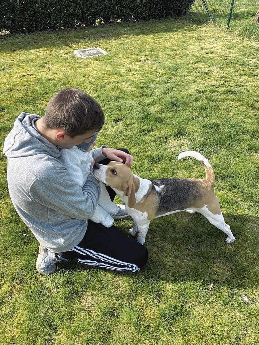 Julien de Sart met zijn zoontje Tom en de hond.