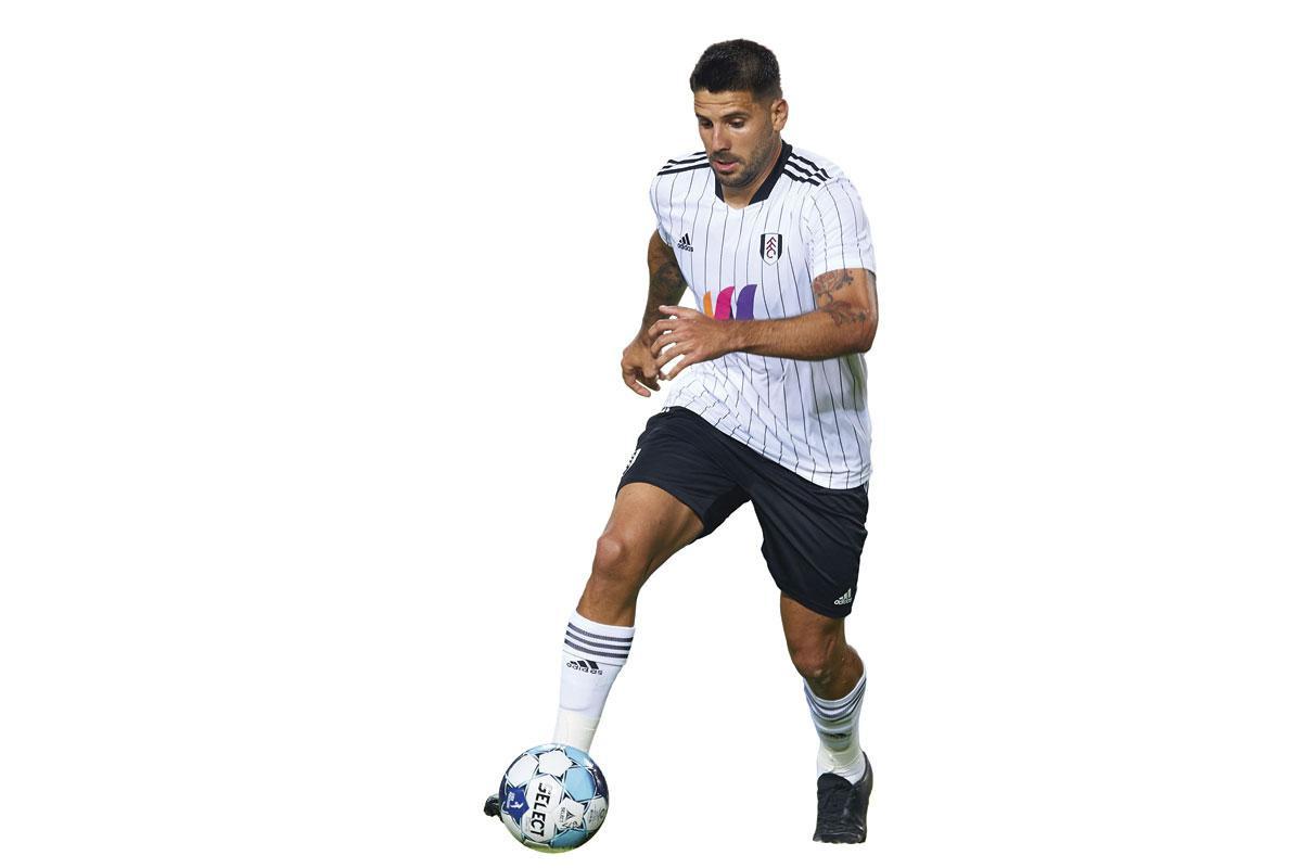 Aleksandar Mitrovic