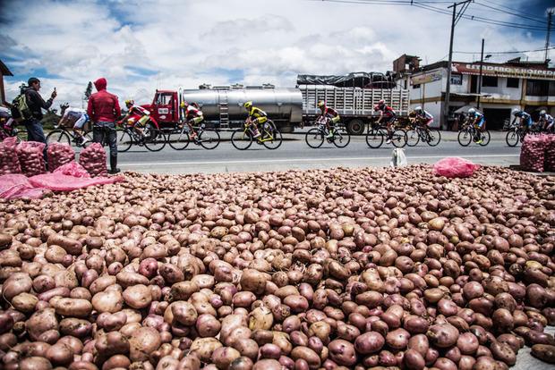 Les ventes de pommes de terre le long des routes. Les parents de Quintana sont des agriculteurs.
