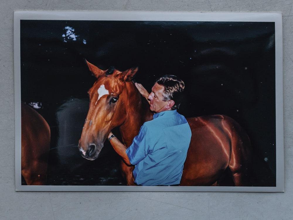 Frans Van Looy auprès d'un de ses chevaux. 
