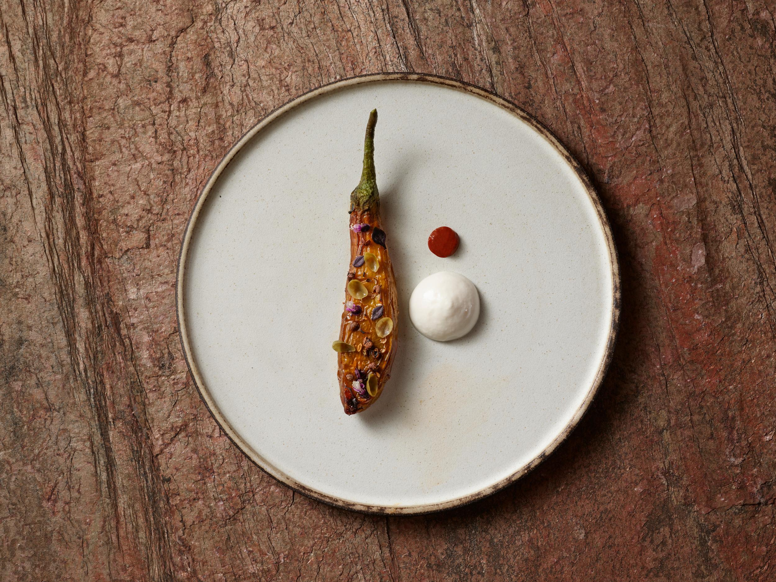 Aubergine, yaourt au lait de buffle, tomate