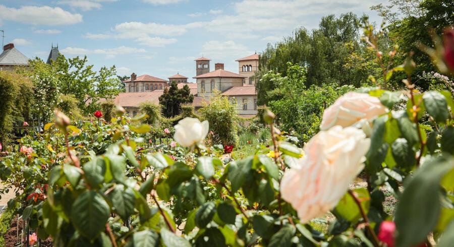 Parc du Thabor Rennes 