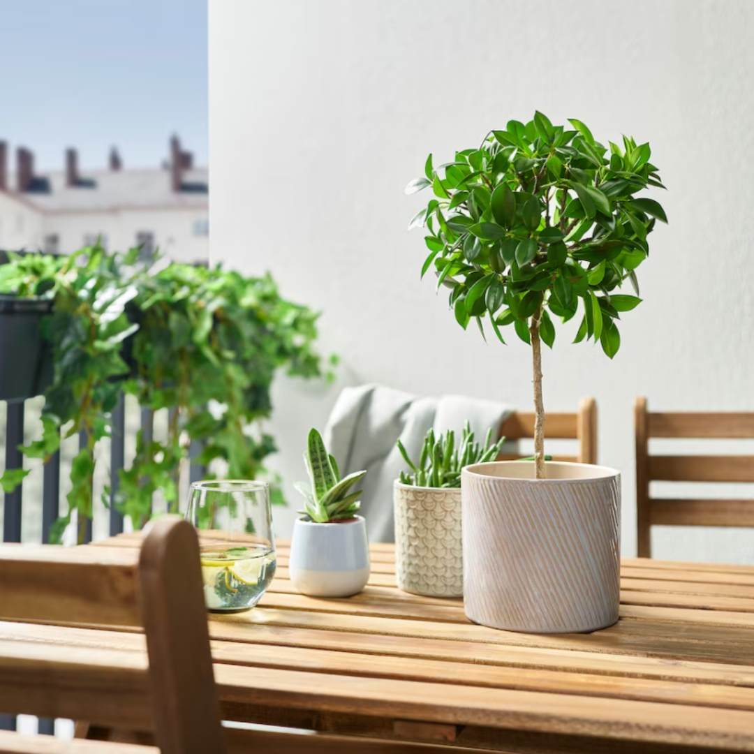 Cache-pot, 4,99€ (IKEA)