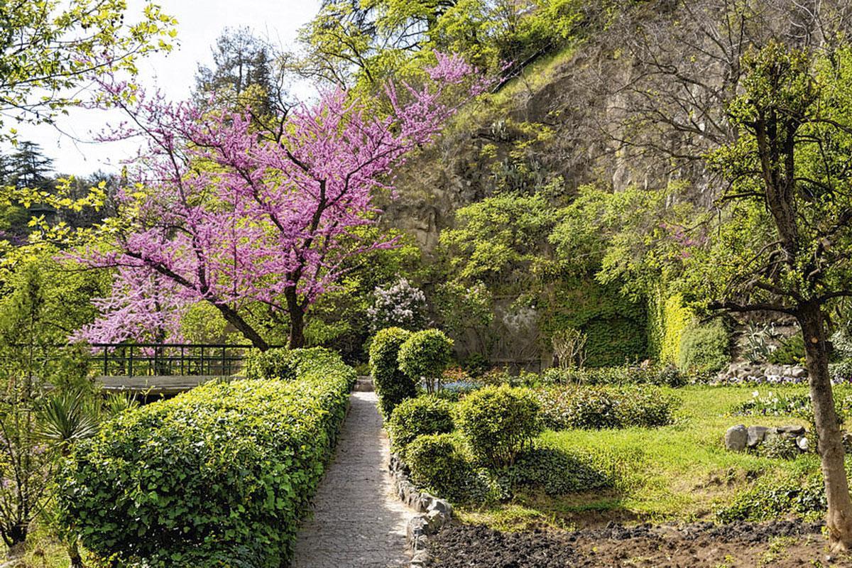 Botanische tuin