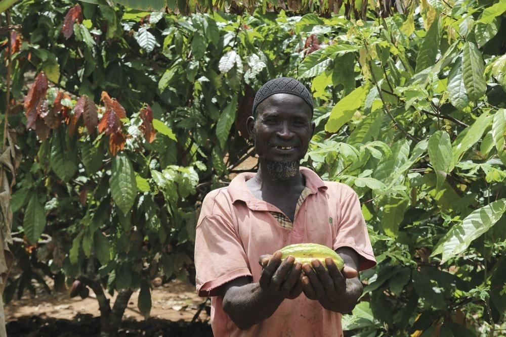 Duurzaamheid in chocoladesector: 'Als we de boeren willen helpen, moet de cacaoprijs naar omhoog'