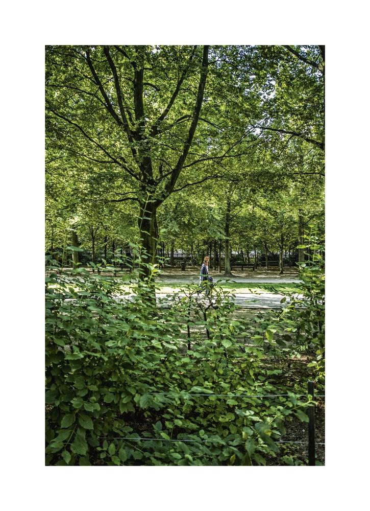 WARANDEPARK Dankzij Leopold II heeft Brussel veel parken, maar het kan en moet beter.