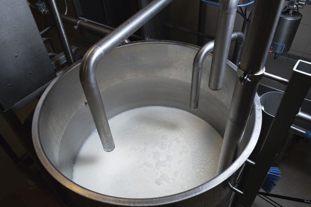 1 De melk pasteuriseren Door verse melk te pasteuriseren worden de schadelijke bacteriën vernietigd. De melk wordt snel opgewarmd van 4 tot 74 graden Celsius en daarna meteen afgekoeld tot de stremtemperatuur van 29 graden. Terwijl de kaastobbe van 6000 liter volloopt, voegt broeder Danny geconcentreerd, diepgevroren zuursel (-40 graden), salpeter en calciumchloride toe.