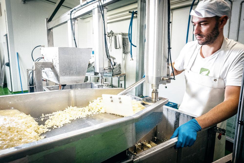 3 Wrongel en  melkwei scheiden - Door het stremmen verandert de melk na ongeveer een uur in wrongel - eiwitten die in een vlokachtige structuur samengeklonteren - en melkwei. De wrongel wordt in grote bakken gegoten en vervolgens met een rastermes verticaal en nadien horizontaal doorgesneden. De kaas heeft nu al zijn definitieve vorm.