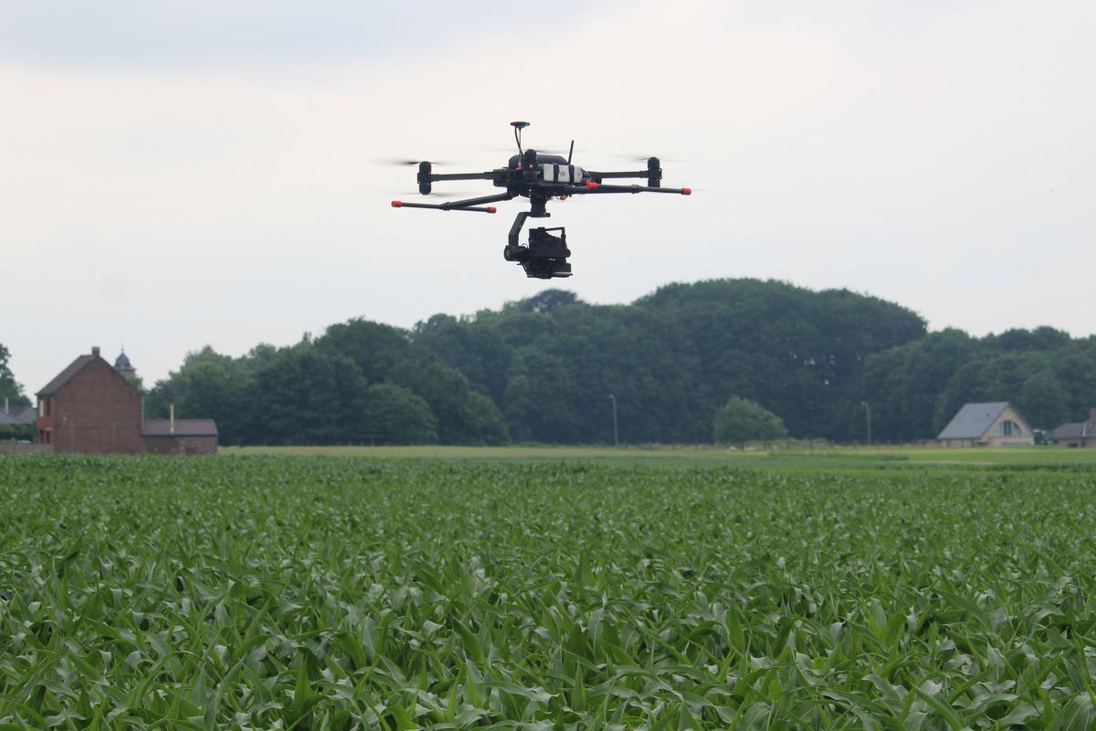 Proximus lanceerde een proefproject met een drone voor ILVO, om onkruid nauwkeurig te detecteren en zo bestrijdingsmiddelen te beperken