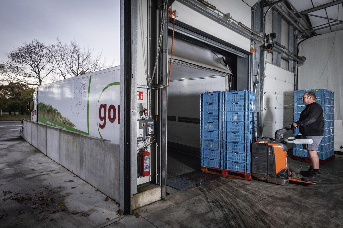 Flexibel tot aan het transport - Na maximaal een dag in de gekoelde ruimte te zijn bewaard worden de pallets met sla in een vrachtwagen gereden. De vier eigen vrachtwagens geven het bedrijf de flexibiliteit om op het laatste nippertje nog iets toe te voegen aan een bestelling. 's Nachts vertrekt de chauffeur naar de distributiecentra van alle Belgische supermarkten.