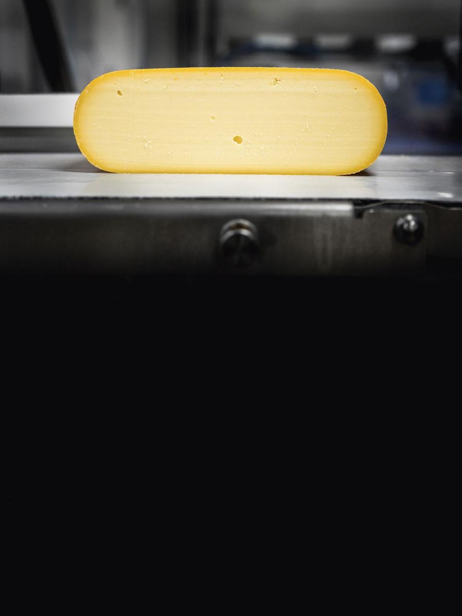 VACHE BLEUE