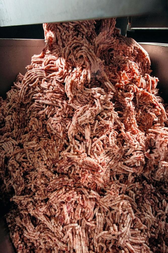 2 Hakken - Alleen het vlees dat de dag zelf wordt verwerkt, komt de diepvriezer uit. Bij de huidige productie gaat het om 400 kilo. Om het te kunnen bewerken, moet het vlees een temperatuur van -5 tot -3°C hebben. Zodra die temperatuur bereikt is, gaat het vlees de hakmolen in. Het hakken duurt maar een paar minuten. Het specifieke van de ringworst met sjalot is de korrelgrootte van het vlees na het hakken. 