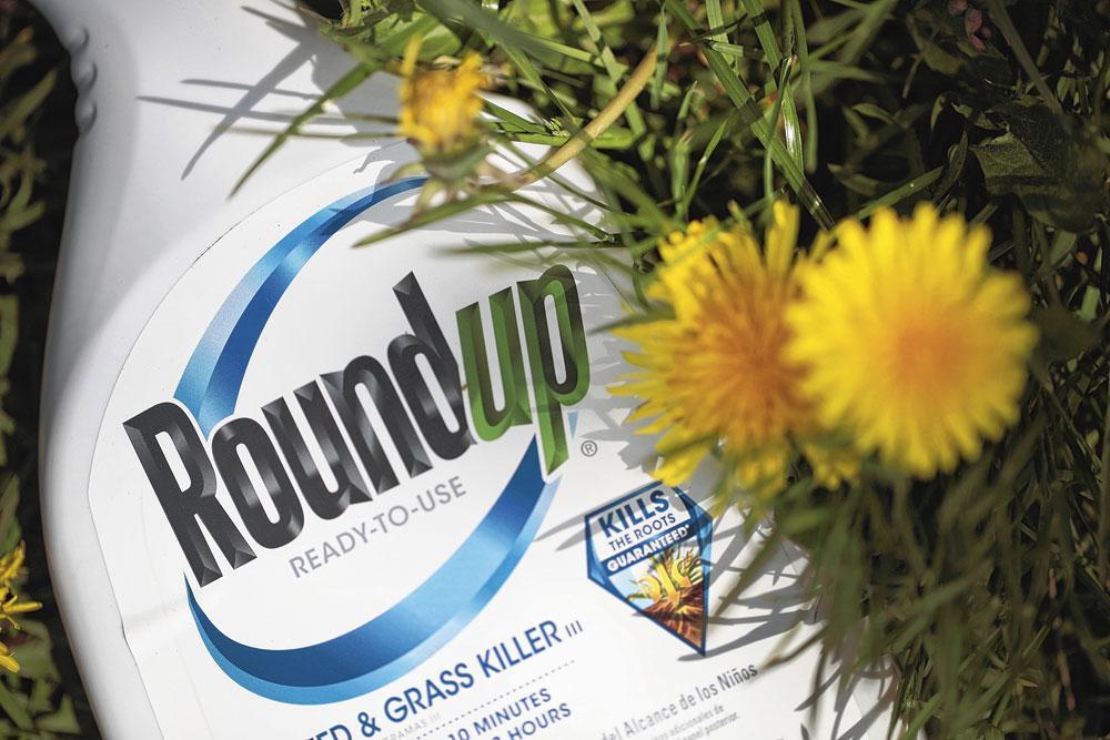 ROUNDUP Bayer is al drie keer veroordeeld tot hoge schadevergoedingen aan gebruikers van de onkruidverdelger.