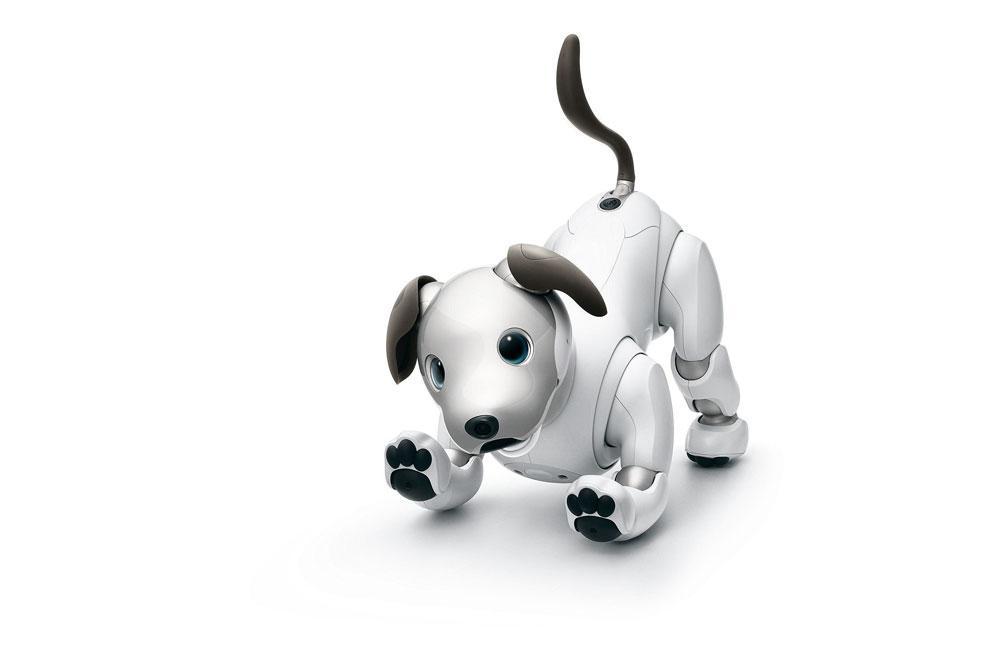 Sony Aibo Nog niet voor de Europese markt, maar Sony toonde in Berlijn een nieuwe versie van haar robot-hond.