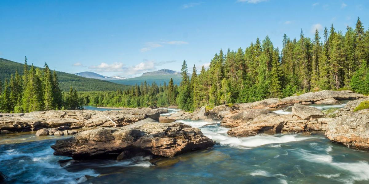 Lapland in de zomer: paradijs voor wandelliefhebbers