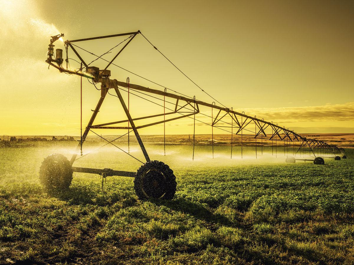 LANDBOUW Vooral bedrijven en landbouwers gebruiken grondwater.