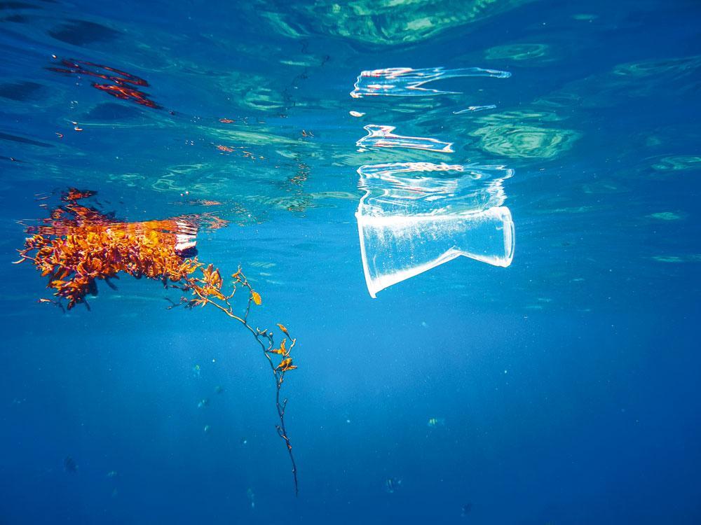Patrick Thomas (CEO Covestro): 'Plastic afval dumpen is waanzin'