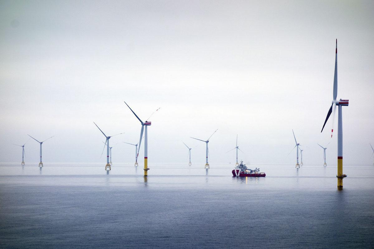 Enorme kansen voor Belgische windindustrie: 'België heeft een technologische voorsprong'